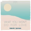 What You Won't Do for Love (Monte Remix) - Single