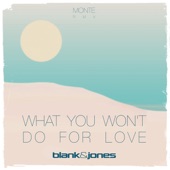 What You Won't Do for Love (Monte Remix) artwork