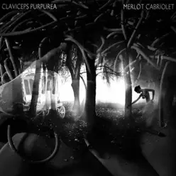 Merlot Cabriolet - Claviceps Purpurea