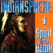 Spirit of the Hawk (Radio Version) artwork