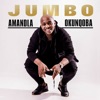 Amandla Okunqoba - Single