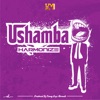 Ushamba - Single