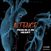 Pain in a Mi Heart artwork