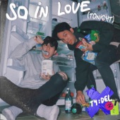 so in love (tonight) artwork