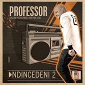 Ndincedeni 2 (feat. Dalom Kids, MSK & Mr Luu) artwork