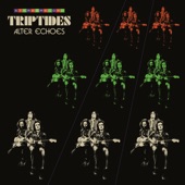 Triptides - Do You Ever Wonder?