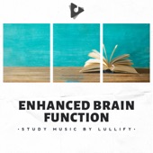 Enhanced Brain Function artwork