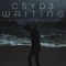 Waiting (feat. BrutalTurn BrutalLegend) - Ethan James Young lyrics