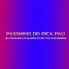 Passinho do Pica Pau (feat. Ni Do Badoque) - Single album lyrics, reviews, download