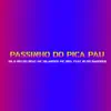 Stream & download Passinho do Pica Pau (feat. Ni Do Badoque) - Single