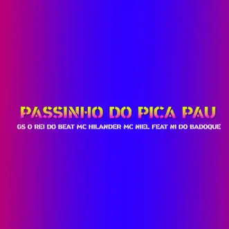 Passinho do Pica Pau (feat. Ni Do Badoque) - Single by GS O Rei do Beat, MC Hilander & MC Niel album reviews, ratings, credits