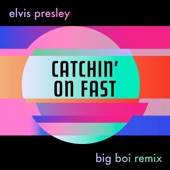 Catchin' On Fast (Big Boi Remix) artwork