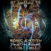 Sonic Entity - Trust the Process artwork