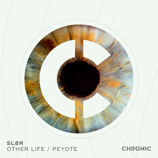SL8R - Other Life - на Radio Record