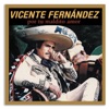 Por Tu Maldito Amor by Vicente Fernández iTunes Track 1