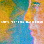 For the Sky (feat. Ed Droste) artwork