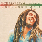 Bob Marley & the Wailers - Sun Is Shining (Yes King Remix)