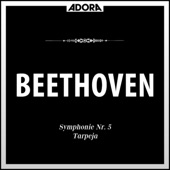 Sinfonie No. 5 für Orchester in C Minor, Op. 67: I. Allegro con brio artwork