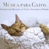 Música Para Gatos: Sonidos Para Relajar a Tu Gato y Ayudarlo a Dormir, 2019