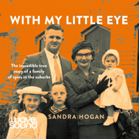Sandra Hogan - With My Little Eye artwork