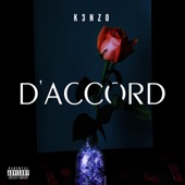 D'accord artwork