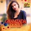 Shahzad Sheikh - Hum Tumse Juda Hoke