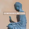 Stream & download Symphony of Life - Single