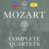 Mozart 225: Complete Quartets