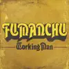 Working Man - Single album lyrics, reviews, download