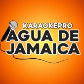 Agua de jamaica (Karaoke Version) artwork