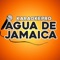 Agua de jamaica (Karaoke Version) artwork