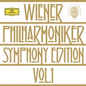 Symphony No. 1 in C, Op. 21: 3. Menuetto (Allegro molto e vivace) [Live] artwork