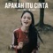 Apakah Itu Cinta artwork