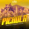 Stream & download Pichula - Single