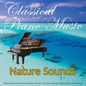 Prelude 1 in C Major BWV 846 from the Well-Tempered Clavier (with Ocean Sounds) artwork