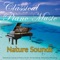 Piano Sonata No. 8 In C Minor, Op. 13, Pathétique, Adagio cantabile (with Ocean Sounds) artwork