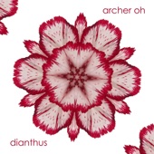 Archer Oh - Dianthus