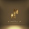 Raindance - Raedio, Jorge Amadeus, LATASHÁ, Rae Khalil & Secret Jones lyrics