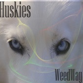 Huskies artwork