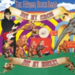 The Hitman Blues Band - The Times They Are a-Changin'