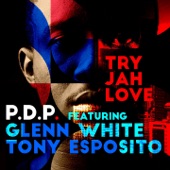 Try Jah Love (feat. Glenn White & Tony Esposito) [Club Version] artwork