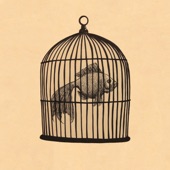 Rule #4 - Fish in a Birdcage artwork
