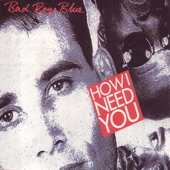 How I Need You (Long Distance Mix) artwork