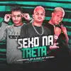 Sexo na Treta (Brega Funk Remix) - Single album lyrics, reviews, download