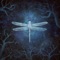 Avalon - Amethystium lyrics