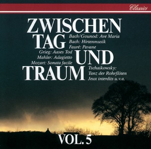 Zwischen Tag und Traum, Vol. 5