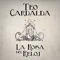 La Rosa del Reloj - Teo Cardalda lyrics