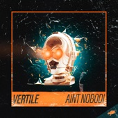 Ain't Nobodi (Extended Mix) artwork
