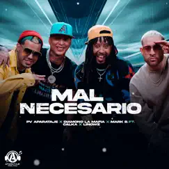 Mal Necesario (feat. Calka & Linowz) Song Lyrics