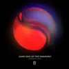 Dark Side of the Harmony (Fyh 200 Anthem) - Single album lyrics, reviews, download